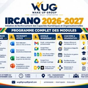 IRCANO ( Initiative de Renforcement des Capacités Numériques et Organisationnelles)